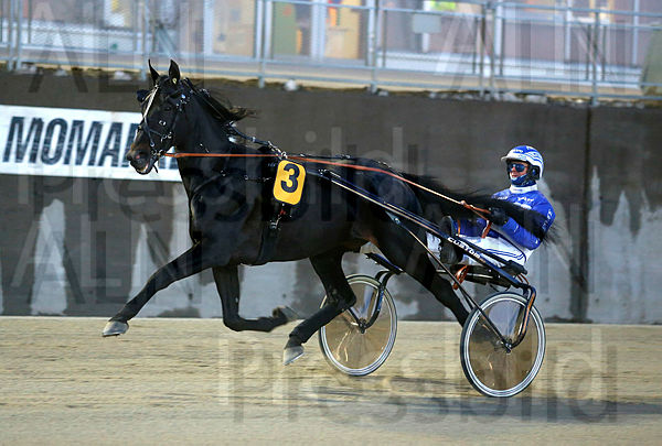 Elite B.R. heat 1.t5aafc05c.m600.w.4salnwmark2.png.xhsa05eO8.jpg