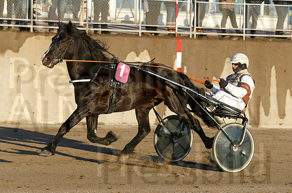 Philip Lyn heat 2.t5aafc079.m600.w.4salnwmark2.png.xC2i3S2p-.jpg