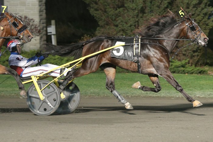 SnowstormHanover_ValleyVictory_161119.jpg