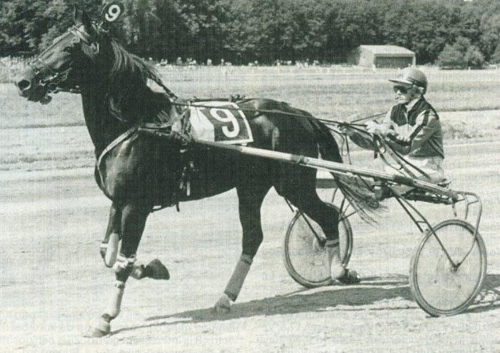 Veloce Marian (1).jpg