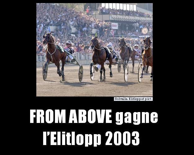 ob_2ac8a3_from-above-gagne-l-elitlopp-2003-1.jpg