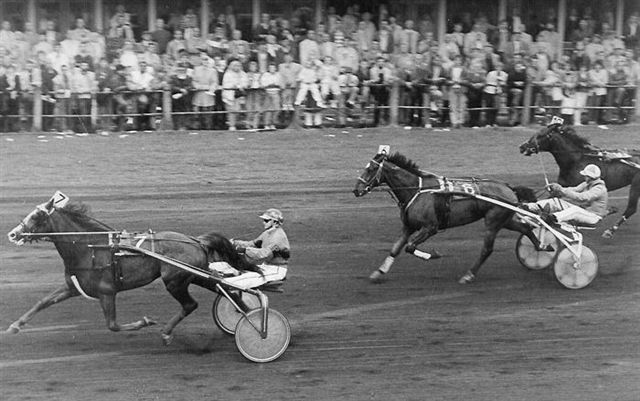 Wanda Pluto GPvNed 87 1e serie.jpg
