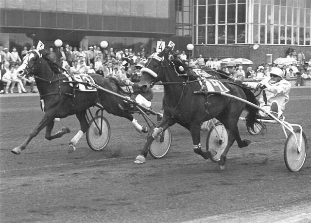 Wanda Pluto Prijs der Besten 88 voor Star of Goldstar.jpg