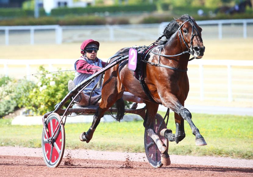 hohneck_wash_enghien.jpg
