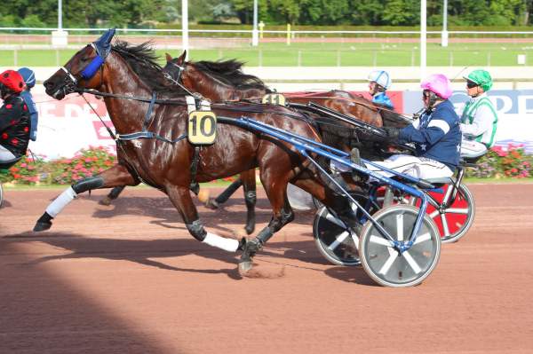 MD_00194793-014-scoopdyga_GANGSTER_DU_WALLON (2).jpg