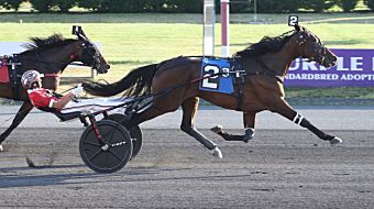 Bella-Bellini070222r3.jpg