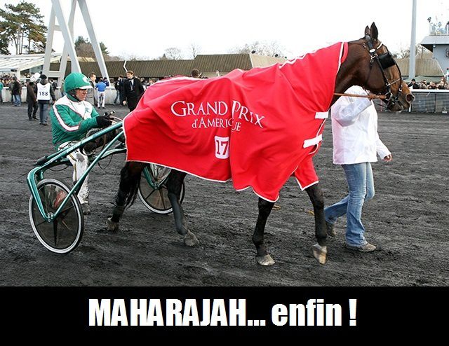 ob_5d1d7b_maharajah-grand-prix-d-amerique.jpg