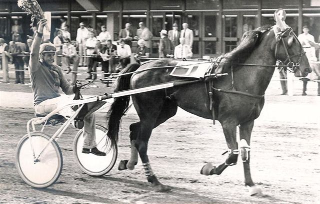 Tessa Hanover.jpg