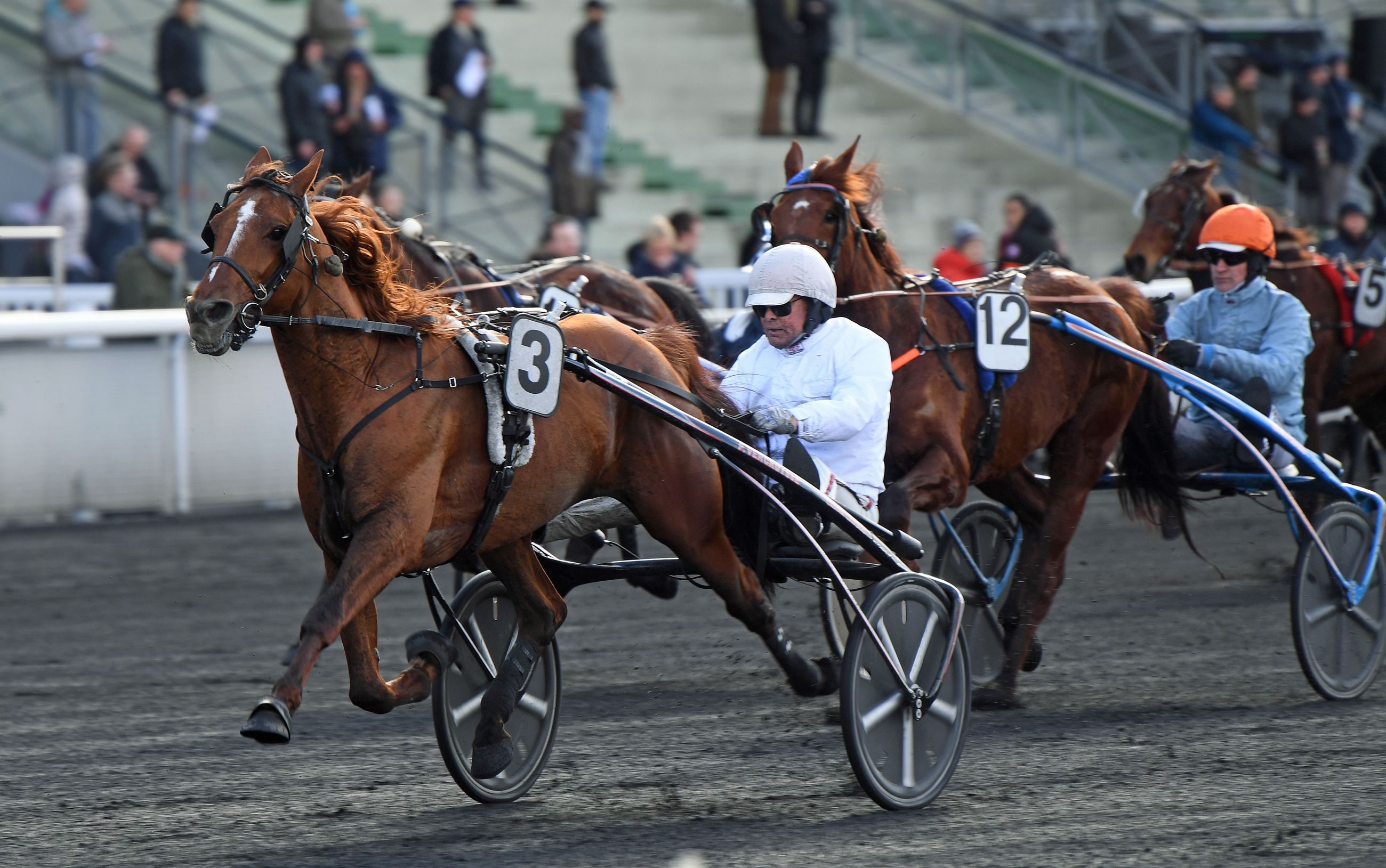 PRIX-DE-MONTSOREAU1.jpg