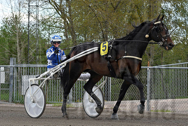 Staro Next Move def DSC_363.t60acd6cf.m600.w.4salnwmark2.png.xZykKM8V6.jpg