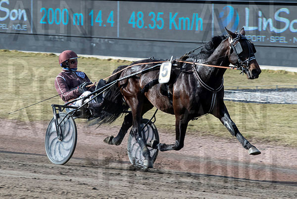 Oscar L.A. målgång2.t6252c6d5.m600.w.4salnwmark2.png.xXmsvQiZv.jpg