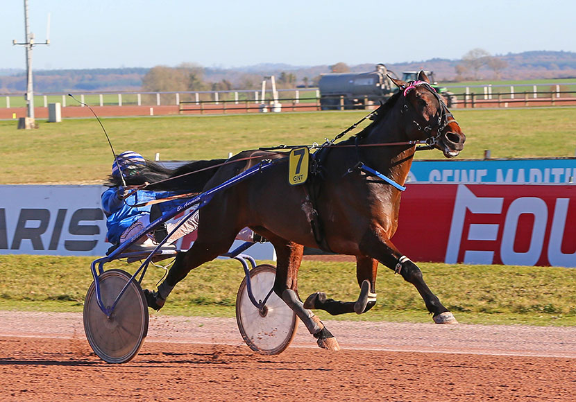 django-du-bocage-okactuslider-27nov20.jpg