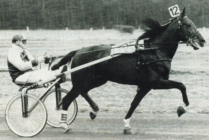 Ymond Boekelte2 (1).jpg
