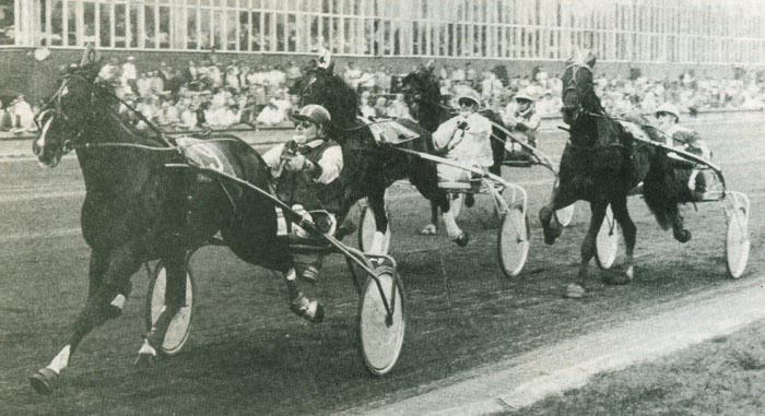 Ymond Boekelte Sprinterspr der 4j (1).jpg