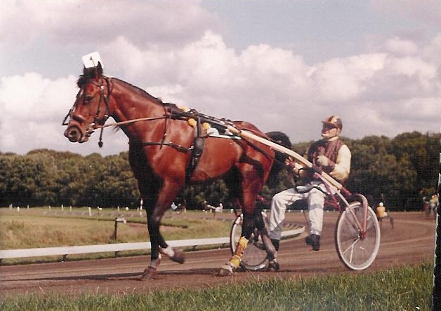 Ymond Boekelte stapt (1).jpg