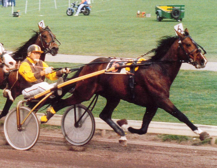 Ymond Boekelte (2).jpg