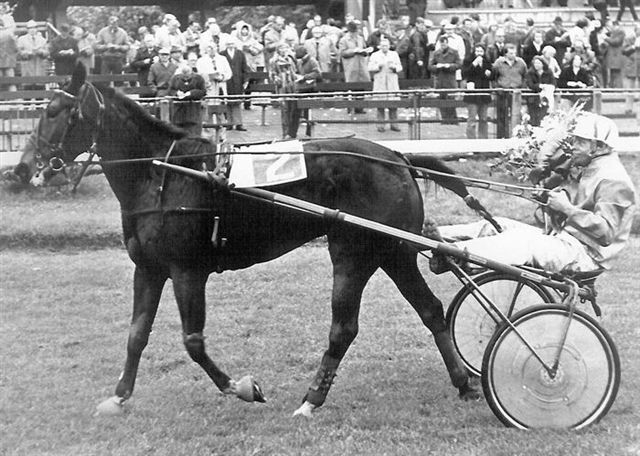 Redwood du Bois ere GP 4j Stayers.jpg