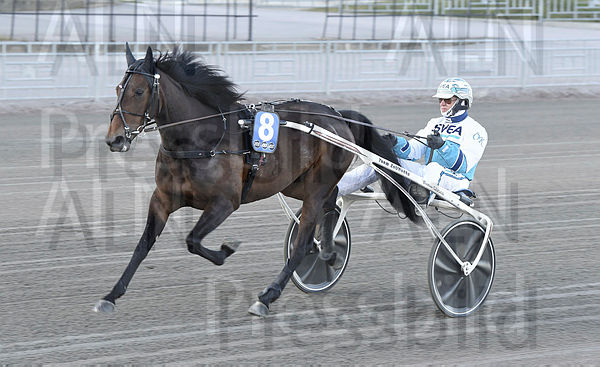 Felicia Zet heat.t608eea26.m600.w.4salnwmark2.png.xRmf83jwZ.jpg