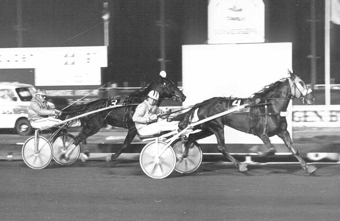 Wandrin Oostland 11-11-1983.jpg