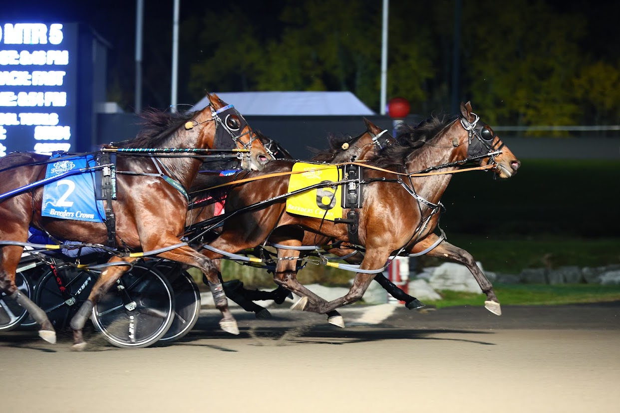 10-29-22-Treacherous-Dragon-6-wins-Breeders-Crown-New-Image-Media-Photo.jpeg