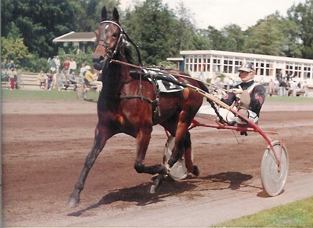 Yna Wielinga 01.jpg