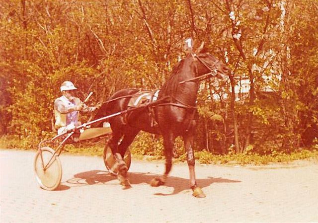 Nenuphar 01.jpg