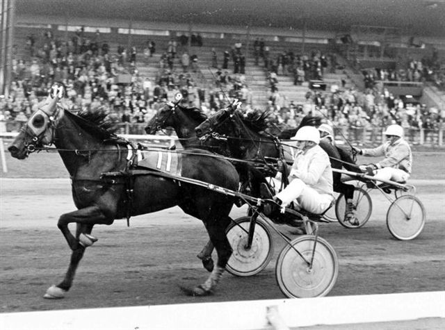 Peter Victoria 12-10-1977.jpg
