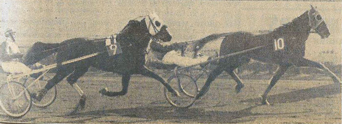Ylbode B Demi Winterfin 64.jpg