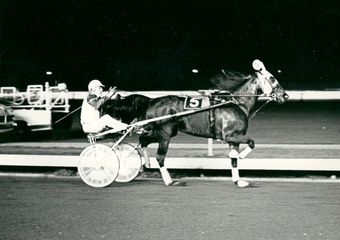Speedy Matadoren 80 2e heat.jpg