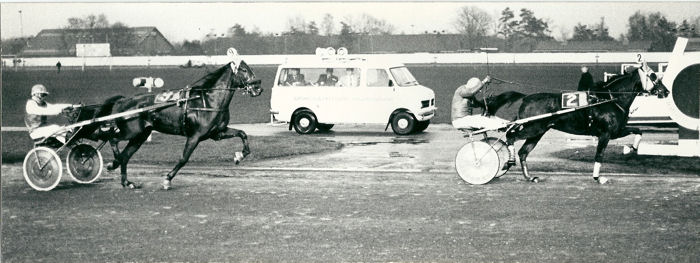 Speedy Winterkamp 80.jpg