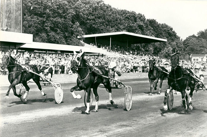 Speedy GP Ned 80 2e heat.jpg