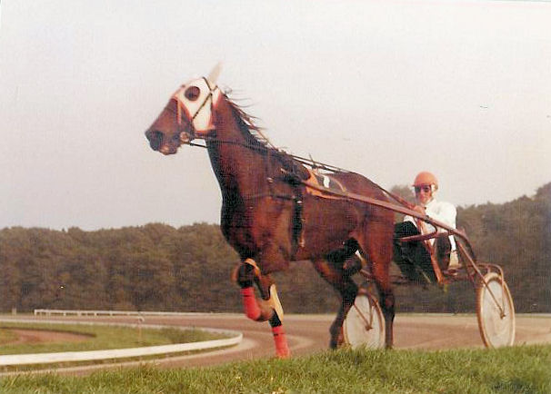 Tempo Olivier 01.jpg