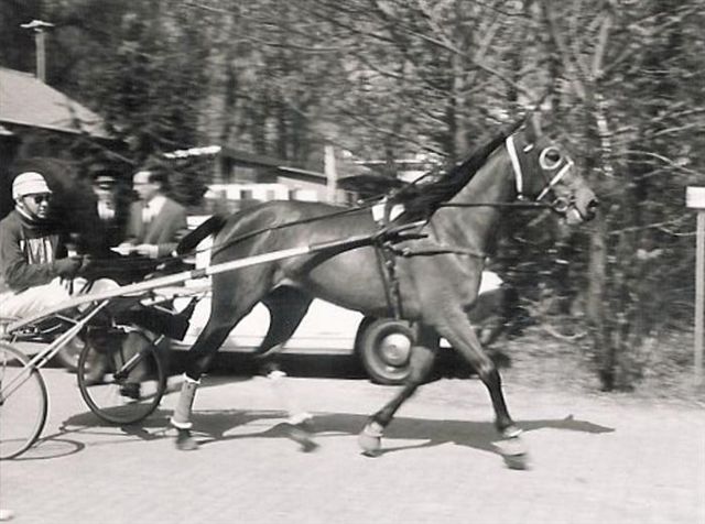 Ilse Hanover 01.jpg