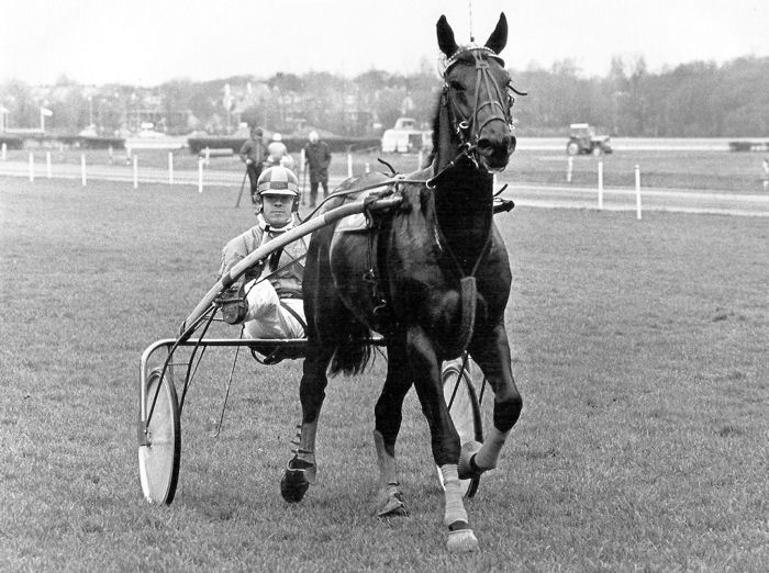 Tiger Hanover 4-3-81.jpg