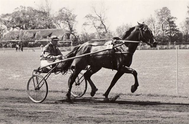 Victor Emanuel met Bram N.jpg