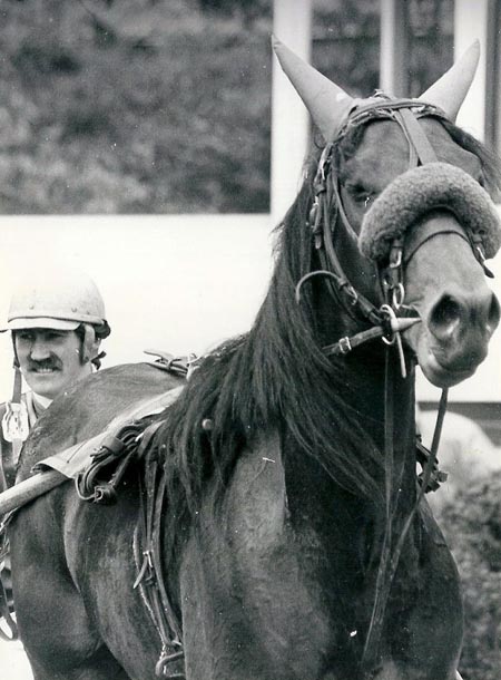 Woody Hanover 23-7-84.jpg