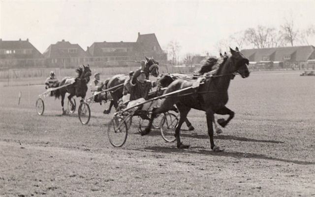 Guy Hanover Alkmaar 51.jpg