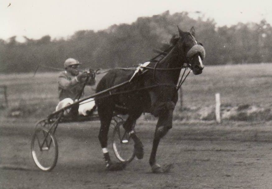 Guy Hanover 2.jpg