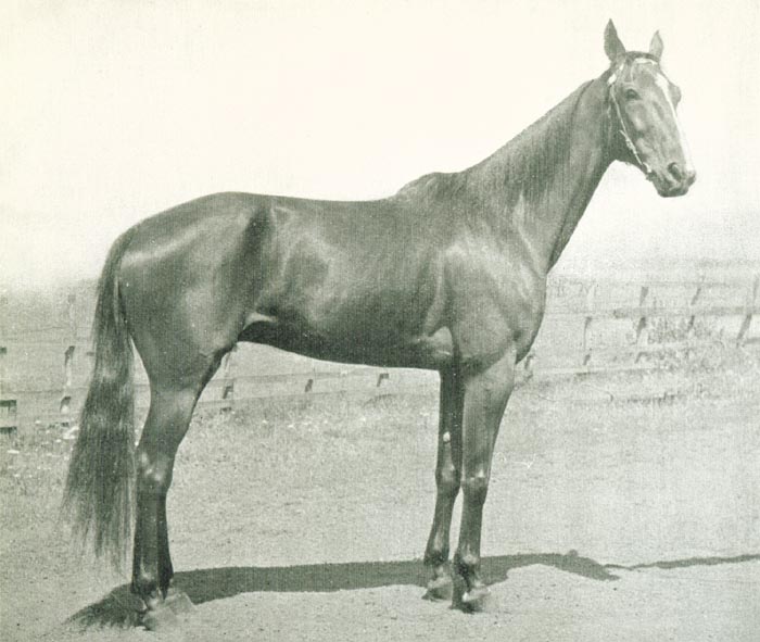 Guy Hanover.jpg