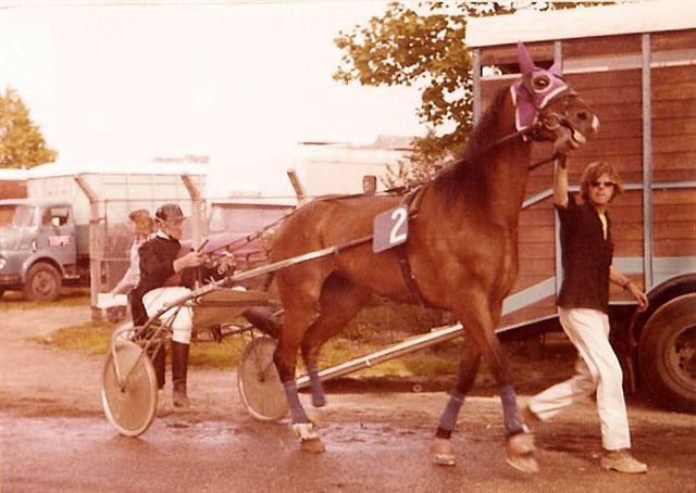 Henriette Signal 01.jpg