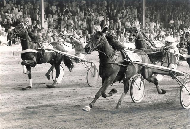 Orly Norton GHoef 82.jpg