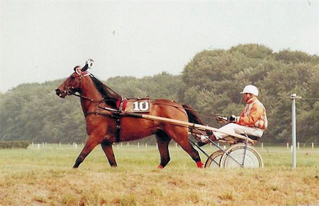 Orly Norton 01.jpg