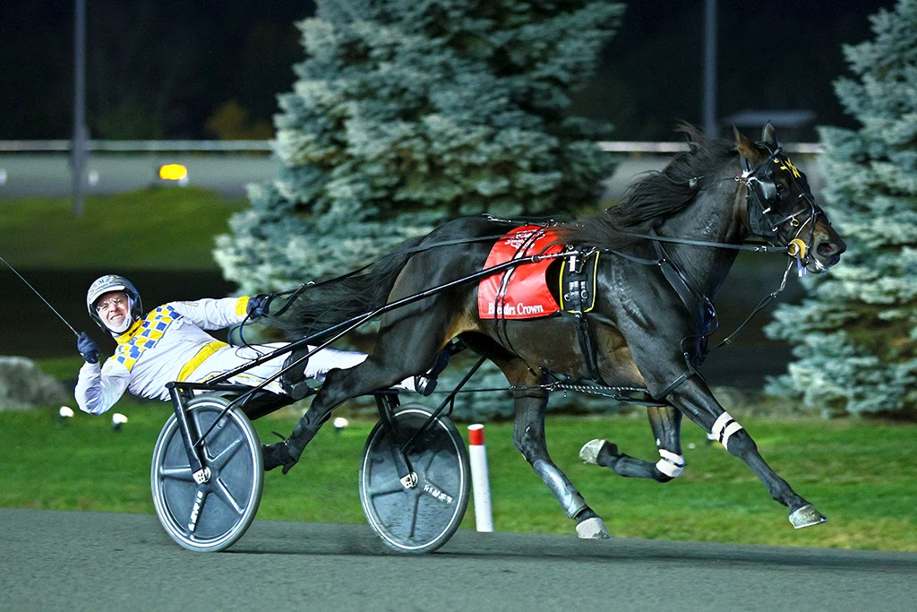 10-29-22-King-Of-The-North-James-MacDonald-New-Image-Media-Photo (1).jpeg