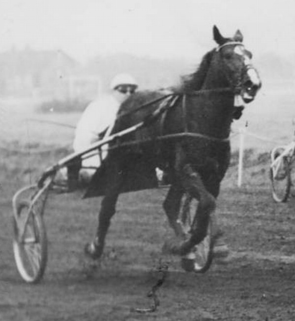 Mountenier 20-11-49.jpg