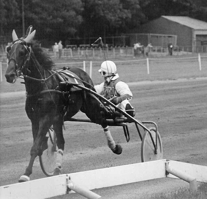 Wapper M 21-8-1982.jpg
