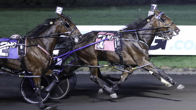 wb111222r10-Bellisima-Hanover-1.jpg