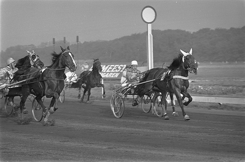 800px-Draverijen_om_Grote_Prijs_van_Amsterdam_tussen_Nederlan_en_Belgie_op_Duindigt_l,_Bestanddeelnr_923-8792.jpg
