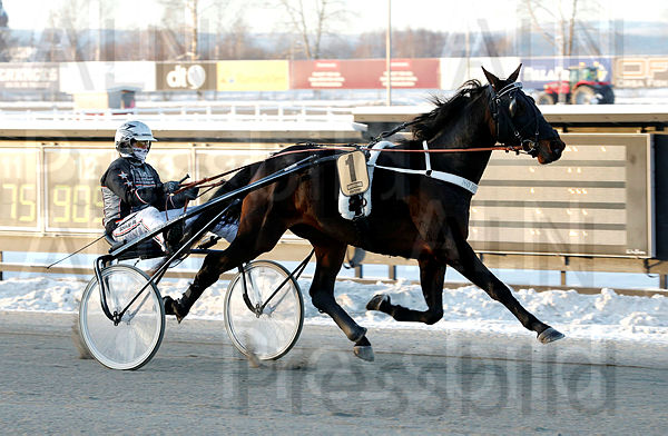 No Doubt heat 1.t60018d29.m600.w.4salnwmark2.png.xjGMAWa_E.jpg