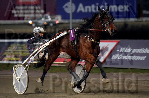 Hector Sisu heat 2.t606ff820.m600.w.4salnwmark2.png.xROcDjlry.jpg