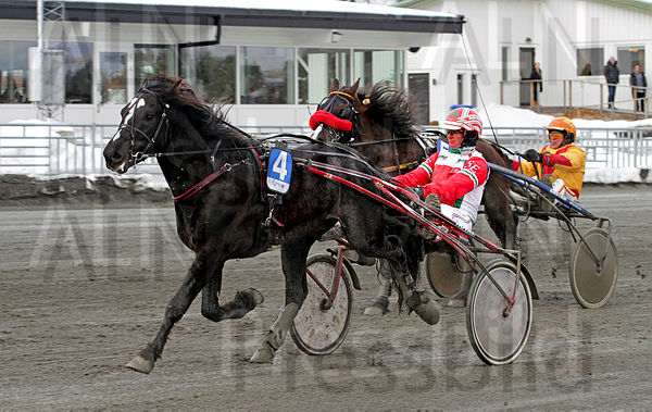 Nordvinn  mål.t62215ad2.m600.w.4salnwmark2.png.xdHKIa6aQ.jpg